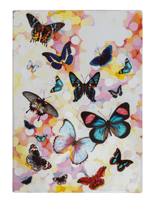 Book Cover - Butterflies