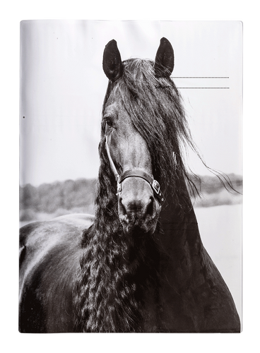 Book Cover - Black & White Horses II