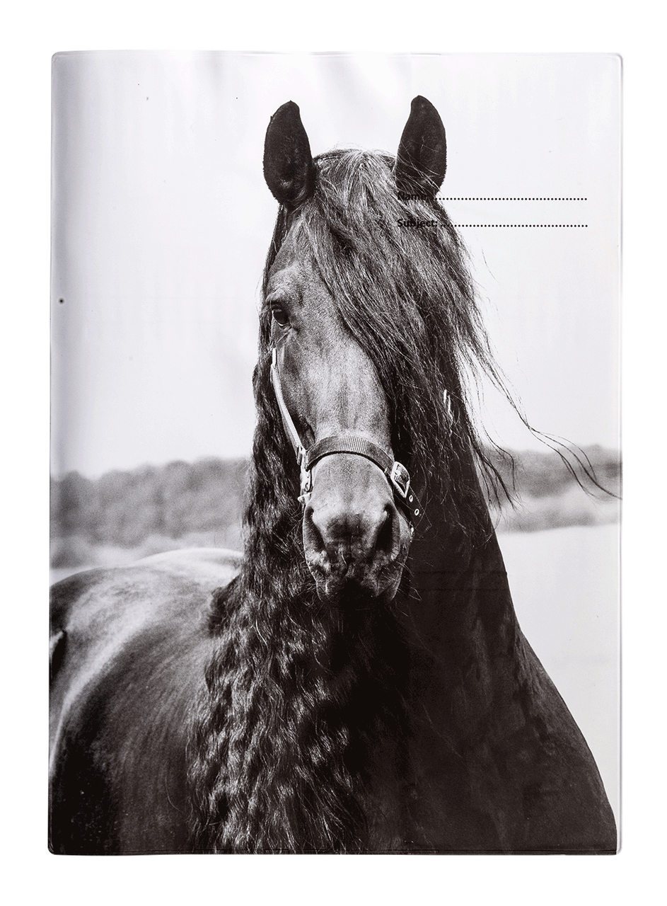 Book Cover - Black & White Horses II