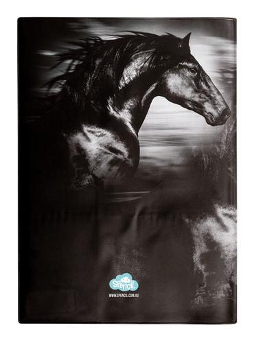 Book Cover - Black & White Horses V