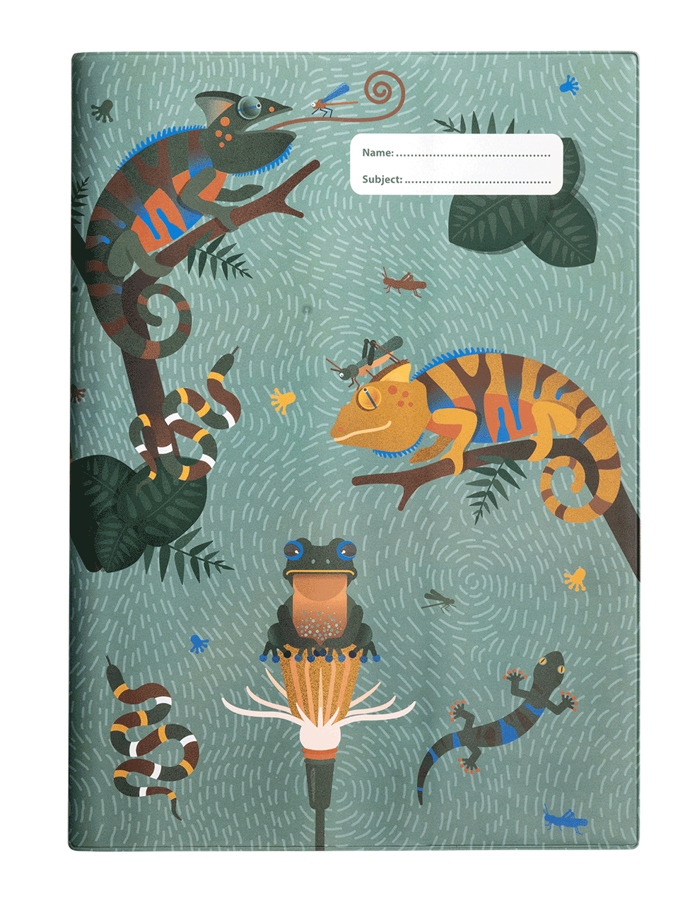 Book Cover - Quirky Chameleon