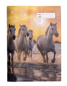 Book Cover - Cosmic Canter 1