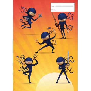 Book Cover - Ninja