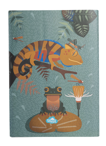 Book Cover - Quirky Chameleon 3