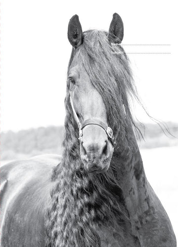 Book Cover - B&W Horses II