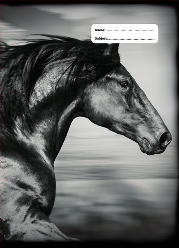 Book Cover - B&W Horses V